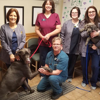 Luna and the Team at the Animal Cancer and Images Center