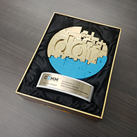 2021 Gold dotComm Award - MGA Systems